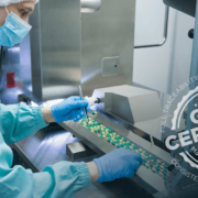 GMP FDA Pharma-Audit